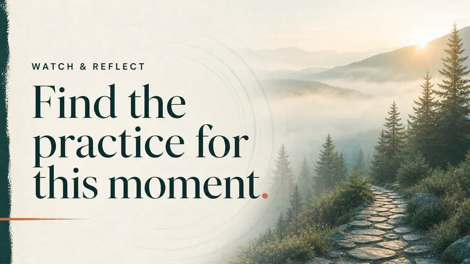 Watch and Reflect video practice library